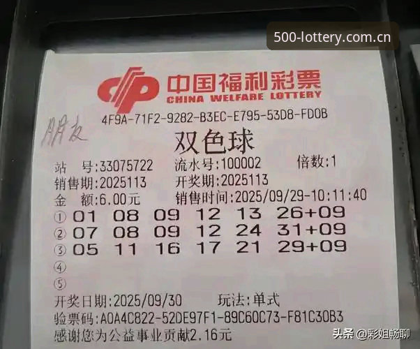 资深用户分享：用彩票官方APP提升购彩效率的实战经验